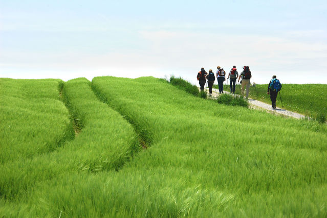 Wanderung